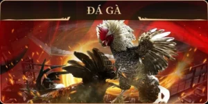 Cách Chơi Đá Gà GA28 Tại 78Win Với Trải Nghiệm Cá Cược Hấp Dẫn