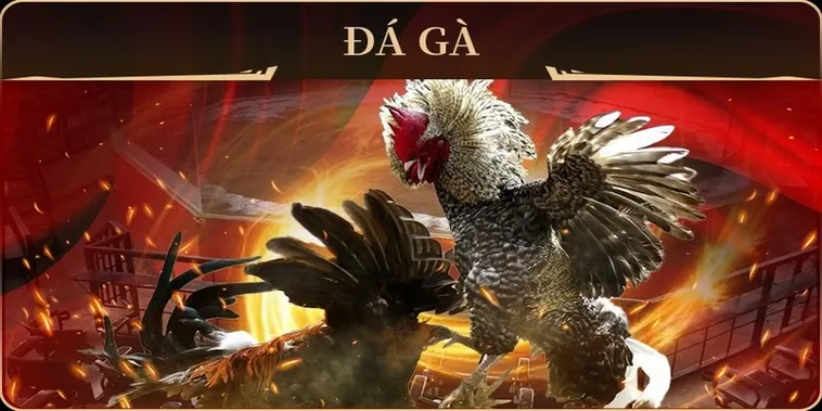 Cách Chơi Đá Gà GA28 Tại 78Win Với Trải Nghiệm Cá Cược Hấp Dẫn