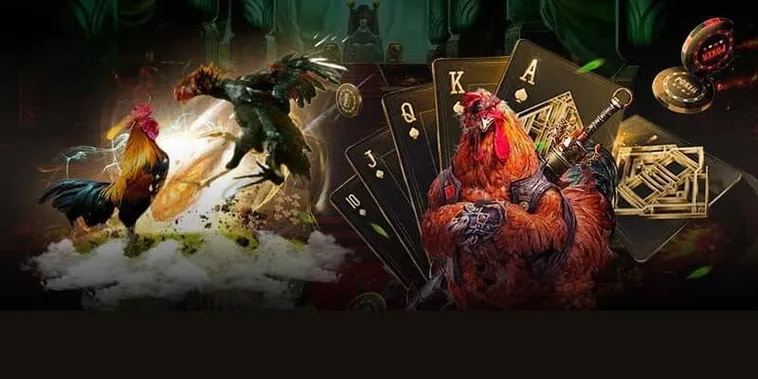Hướng Dẫn Chơi Đá Gà 3D Tại 78Win Với Trải Nghiệm Giải Trí Đỉnh Cao