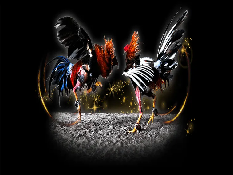 Đá Gà 78Win Hấp Dẫn Người Chơi Với Trải Nghiệm Cá Cược Đỉnh Cao