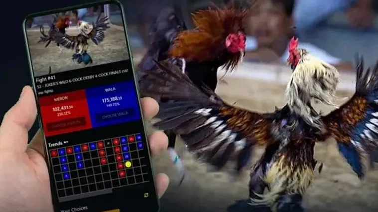 Đá Gà 78Win Hấp Dẫn Người Chơi Với Trải Nghiệm Cá Cược Đỉnh Cao